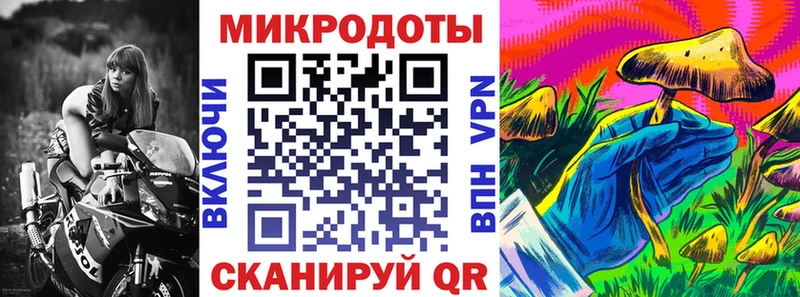 даркнет сайт  Павлово  Псилоцибиновые грибы Cubensis 